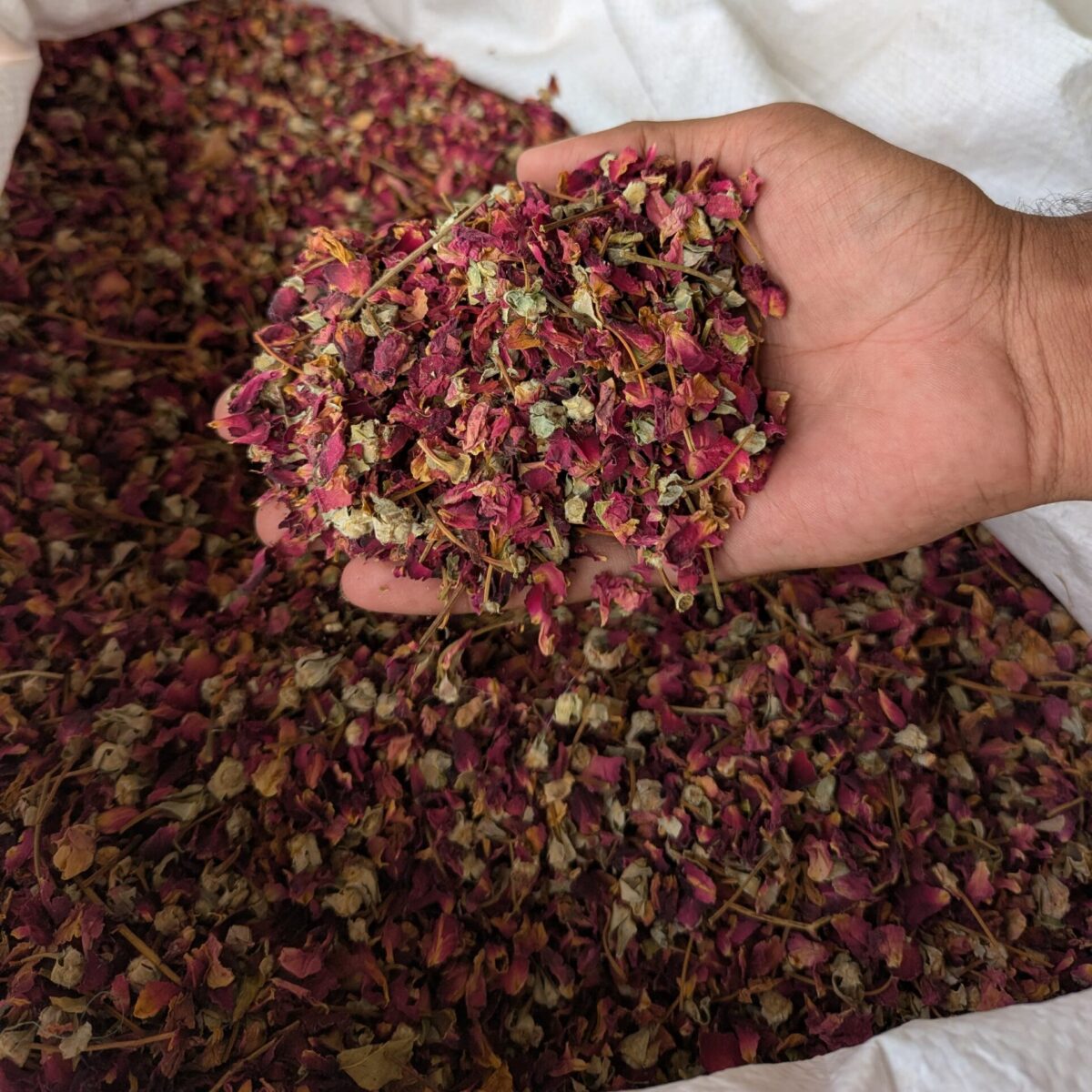 Whole Dried Rose Petals – Organic, Fragrant and Food Grade